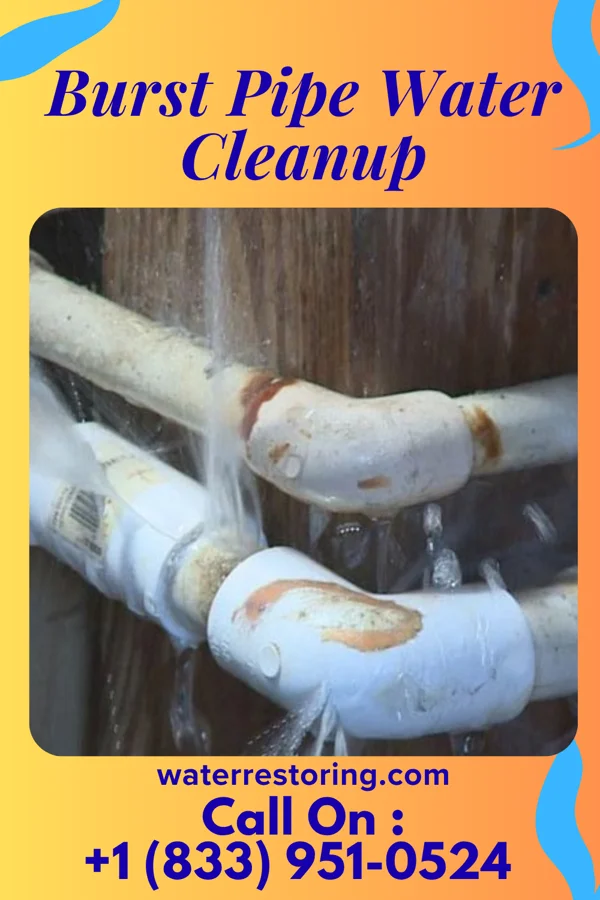 Burst Pipe Water Cleanup in Keyes, OK