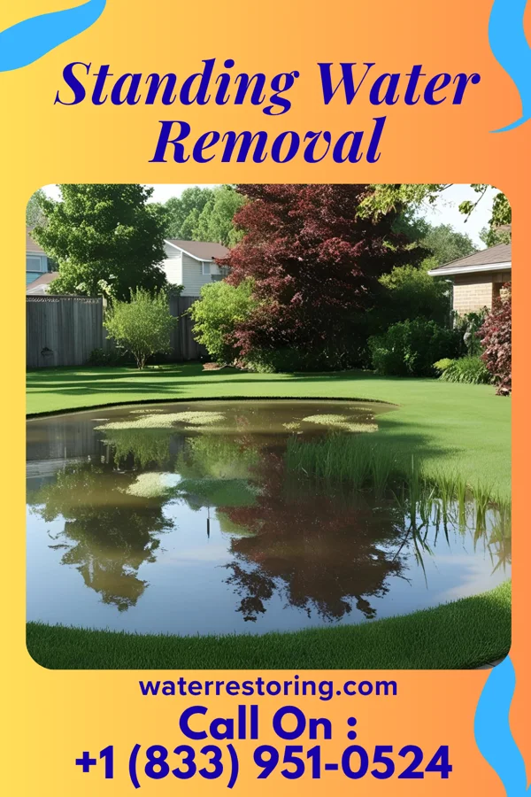 Standing Water Removal in Keyes, OK